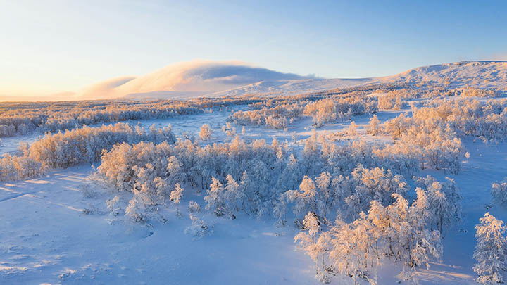 WPS下载指南:如何获取官方版本安全安装教程 WPS下载指南:如何获取官方版本安全安装教程 二