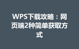 WPS下载攻略：网页端2种简单获取方式