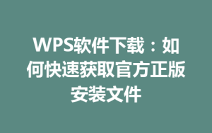 WPS软件下载:如何快速获取官方正版安装文件