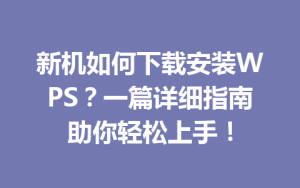 新机如何下载安装WPS？一篇详细指南助你轻松上手！