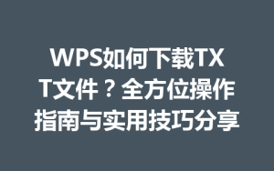 WPS如何下载TXT文件?全方位操作指南与实用技巧分享
