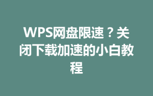 WPS网盘限速？关闭下载加速的小白教程