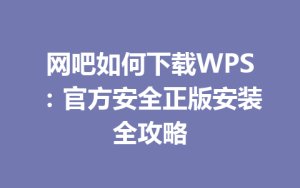 网吧如何下载WPS：官方安全正版安装全攻略