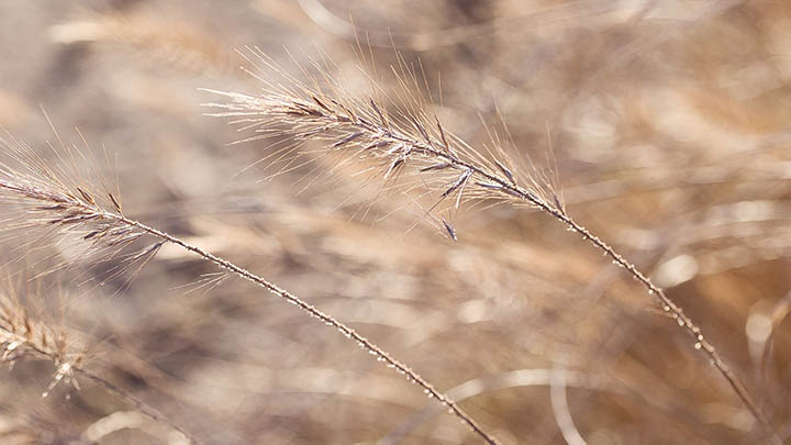 WPS Office怎么下载?极速安装教程让新手3分钟轻松搞定 WPS Office怎么下载?极速安装教程让新手3分钟轻松搞定 二