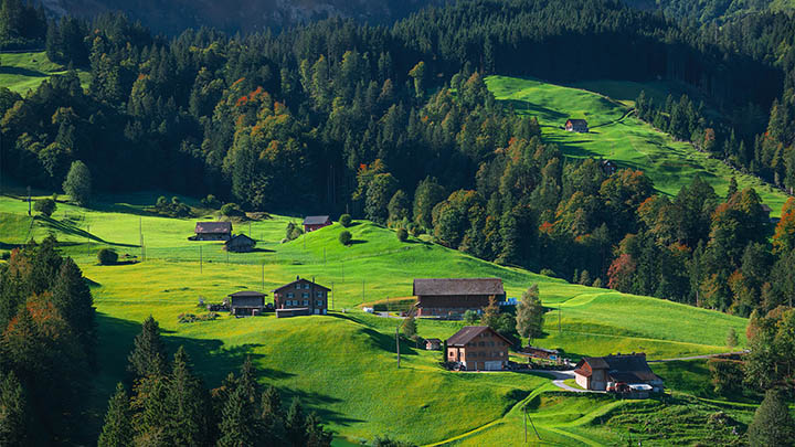 WPS软件如何快速下载安装？ 二