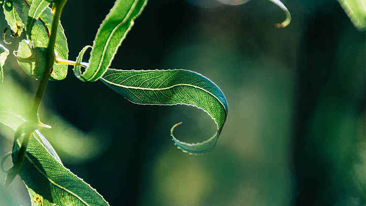 W10如何下载WPS：官方正版安装全流程指南 二