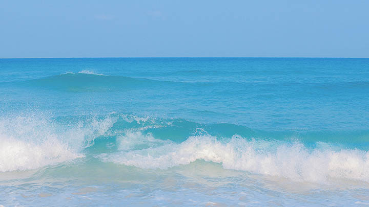 WPS程序下载指南:快速完成安装的3大实用技巧 WPS程序下载指南:快速完成安装的3大实用技巧 二