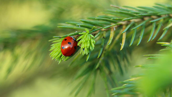 WPS下载攻略：网页端2种简单获取方式 二