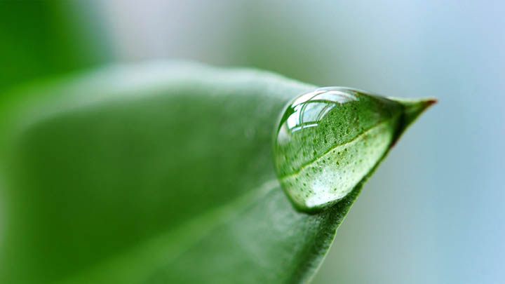 刚下载的WPS在哪里找?详细教程教你轻松定位WPS文件! 刚下载的WPS在哪里找?详细教程教你轻松定位WPS文件! 二