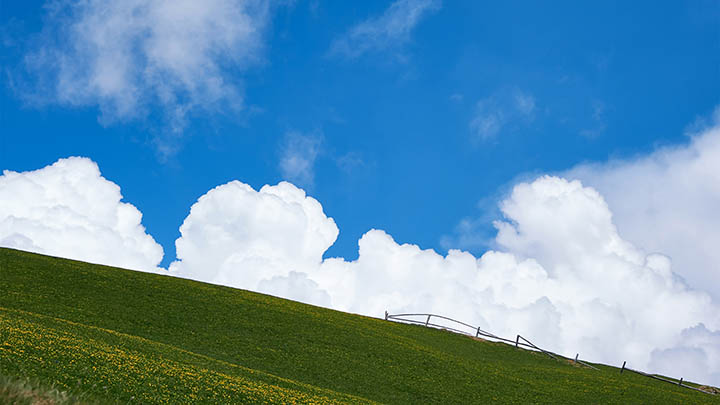 WPS插件下载安装指南：轻松拓展功能的3个实用路径 二