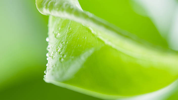 WPS Office如何快速设置下载路径? WPS Office如何快速设置下载路径? 二