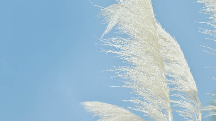 刚下载的WPS如何快速找到? 刚下载的WPS如何快速找到? 二