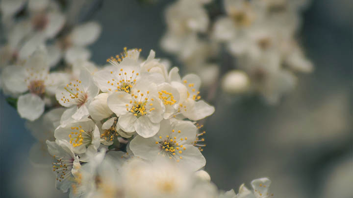 WPS下载路径怎么查看？简单操作教学！ 二