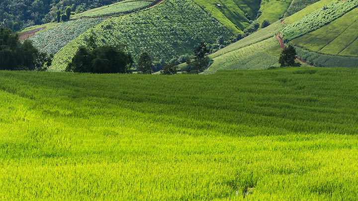 WPS下载安装与使用详解:简单三步轻松上手办公软件 WPS下载安装与使用详解:简单三步轻松上手办公软件 二