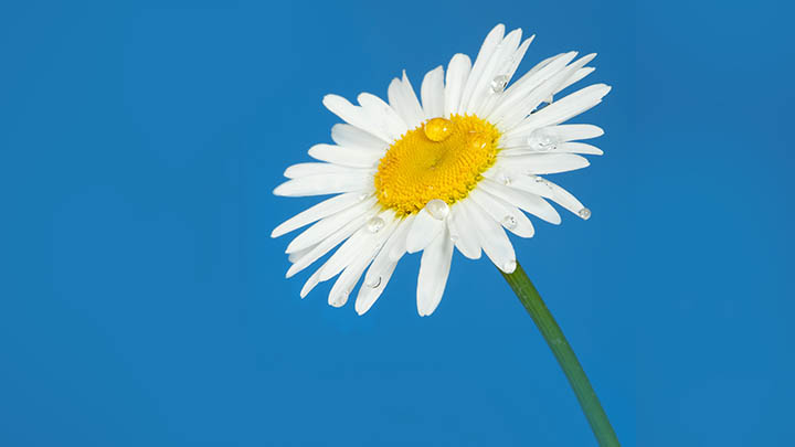 3分钟搞定：WPS极速下载与安装完全指南 二