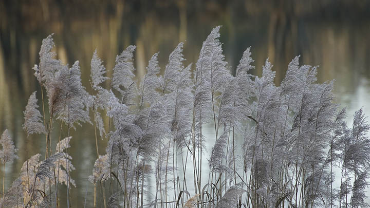 WPS如何下载?官方正版下载安装详细教程 WPS如何下载?官方正版下载安装详细教程 二