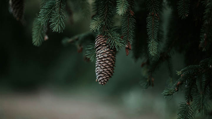 3分钟掌握WPS下载:官方快捷安装攻略 3分钟掌握WPS下载:官方快捷安装攻略 二