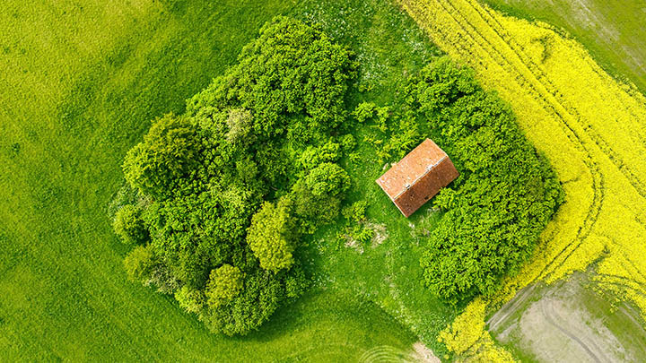 内网如何下载WPS？完整无障碍获取指南 二