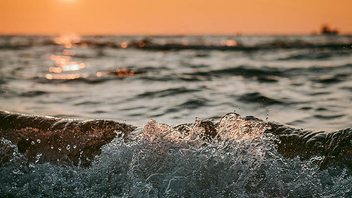 如何更新WPS软件：简单三步快速下载最新版本 二