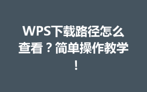 WPS下载路径怎么查看?简单操作教学!