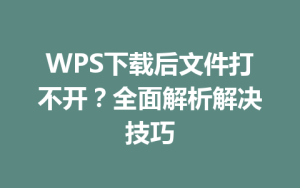 WPS下载后文件打不开？全面解析解决技巧
