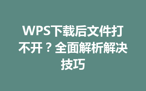 WPS下载后文件打不开？全面解析解决技巧 一