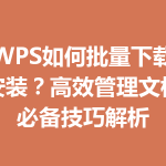 WPS如何批量下载安装？高效管理文档必备技巧解析