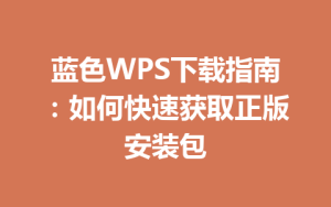 蓝色WPS下载指南：如何快速获取正版安装包