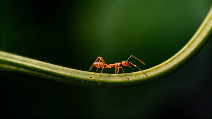 免费获取WPS办公软件:官方渠道快速下载指南 免费获取WPS办公软件:官方渠道快速下载指南 二