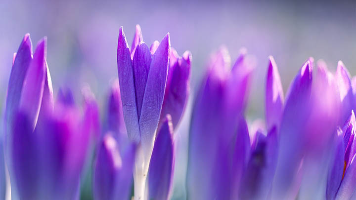 内网WPS下载：轻松搞定3分钟安装技巧 二