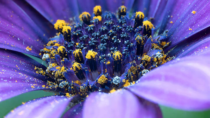 WPS官方极速下载教程:快速掌握完整安装方法 WPS官方极速下载教程:快速掌握完整安装方法 二