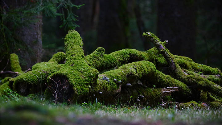 WPS下载后打印不了？3种设置技巧轻松解决困扰 二