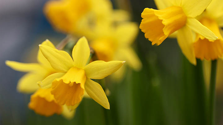 WPS Excel下载教程：快速掌握3分钟安装技巧 二