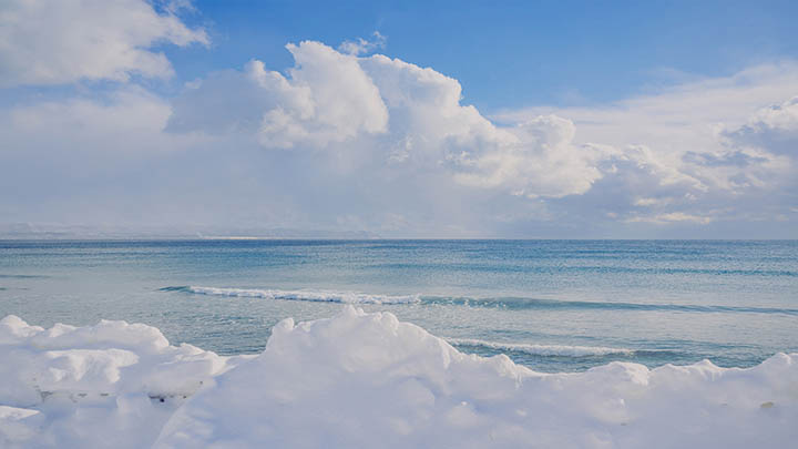 获取WPS文件下载的完整指南：安全快捷的4种方法解析 二