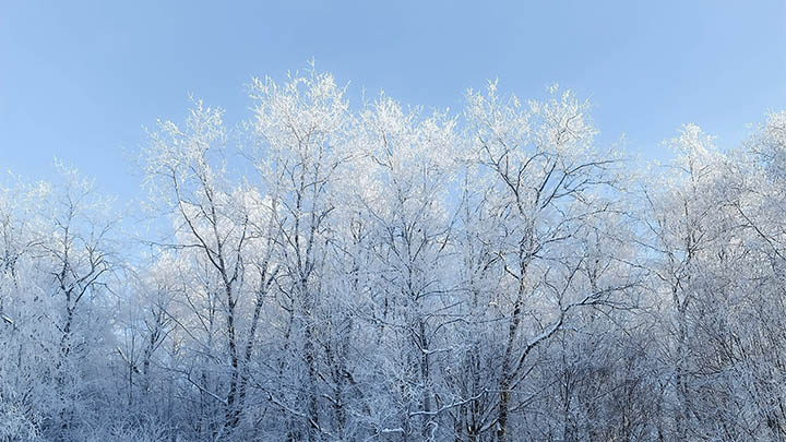 怎么下载WPS文章？快速获取教程与下载工具详解 二