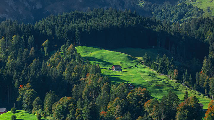 WPS屏保怎么下载安装？ 二